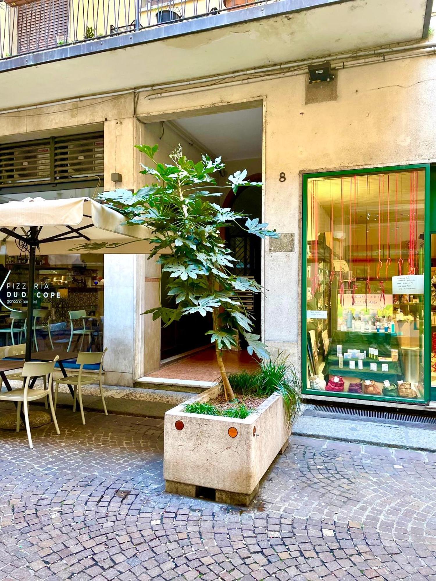 Apartment Domus Pellicciai Verona